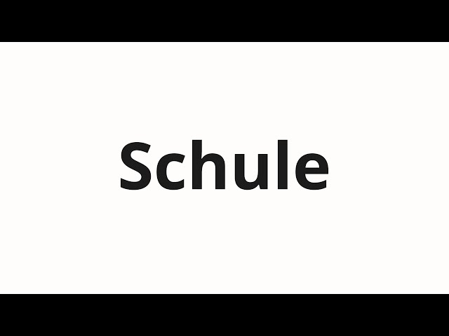 Schule Meaning in Hindi | German A1 Vocabulary Explained